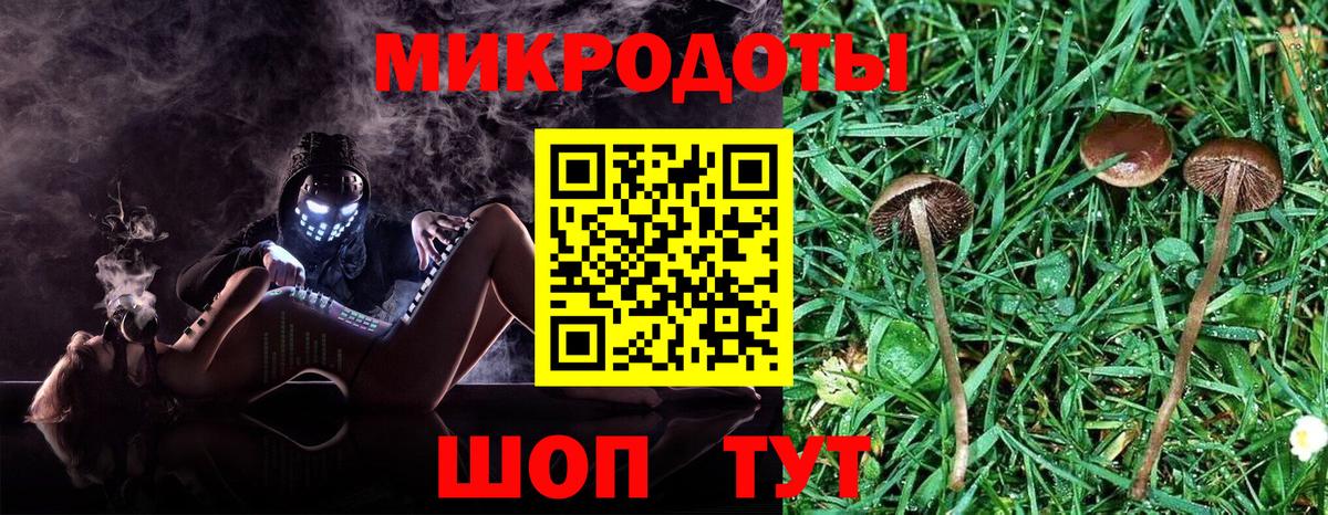 Куйбышев  Псилоцибиновые грибы Cubensis  купить   Вход с VPN 