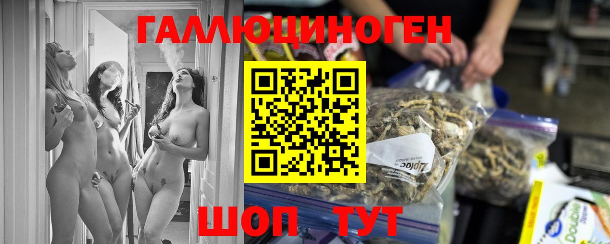Псилоцибиновые грибы Cubensis Куйбышев
